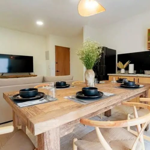 Properties for long-term rentals in Bacalar